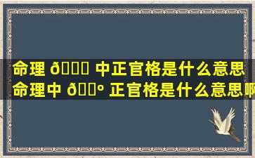 命理 🐞 中正官格是什么意思（命理中 🐺 正官格是什么意思啊）